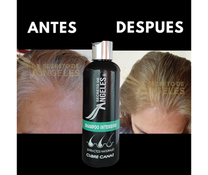 Shampoo Cubre canas Secreto de Ángeles