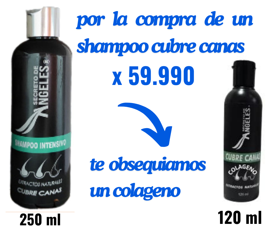 Shampoo Cubre canas Secreto de Ángeles