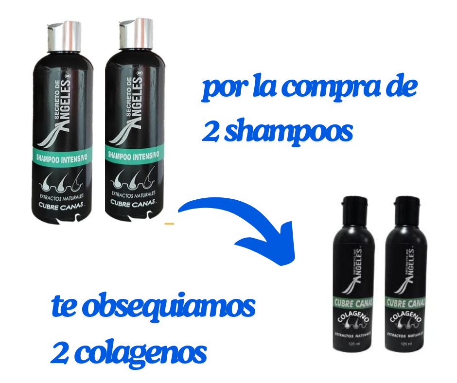 Shampoo Cubre canas Secreto de Ángeles